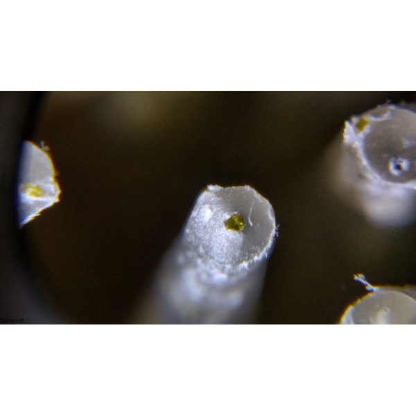 Щітка Антик алмазна кругла d 110 mm № 24