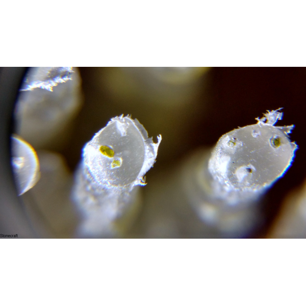 Щітка Антик алмазна кругла d 110 mm № 240